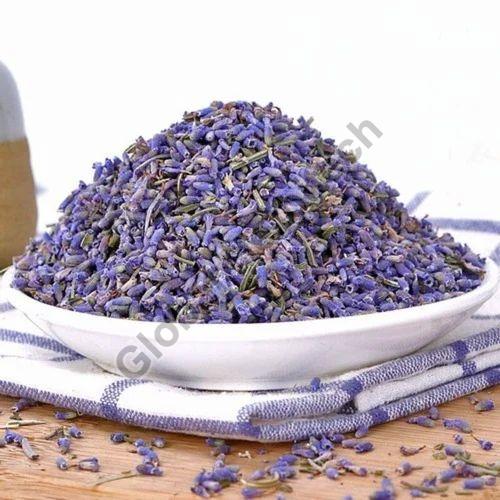 Purple Lavender Flowers, for Pharmaceutical, Style : Fresh