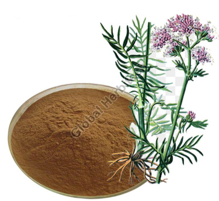 Valerian Dry Extract