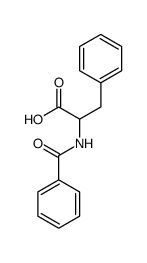 Benzyol L Phenylalanine