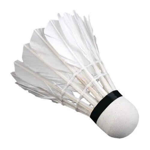 badminton shuttlecock