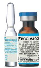 BCG Vaccine, Grade Standard : Medicine Grade