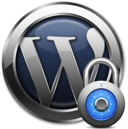 wordpress development service