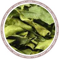 Curry - Leaves