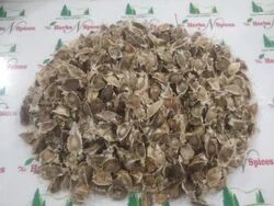 Common moringa seeds, for Medicinal