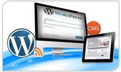 Cms Development Wordpress