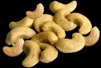 raw cashew nuts