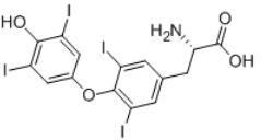 L-thyroxine