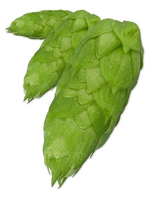 WAIMEA Leaf Hops