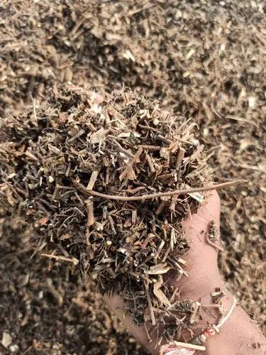 Dry Whole Plant Tulsi, Packaging Size : 25kg 50kg