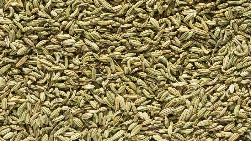 Green Organic fennel, for Cooking, Spices, Food Medicine, Certification : FSSAI Certified