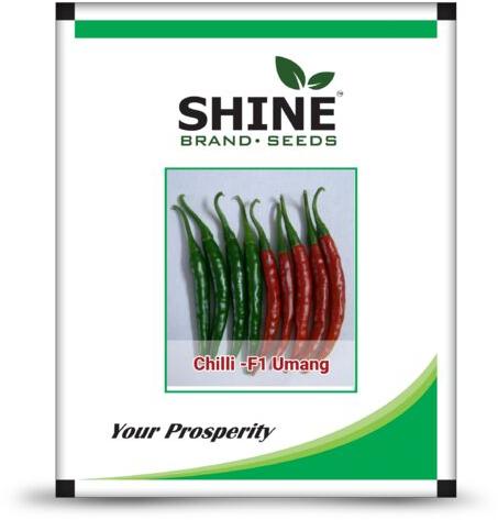 Chilli Seeds, for Farming