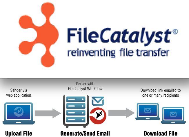 Transcoder & File Transfer File Catalyst