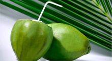 JIC tender coconut water, Feature : Sugar - Free