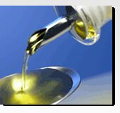 Edible Oil Extraction Machinery