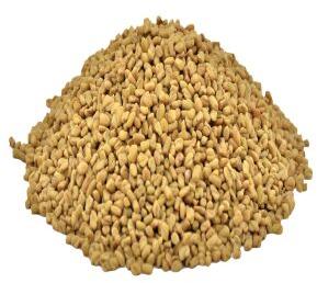 Fenugreek Oil, Purity : 100% Pure