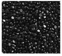 Plastic Black Masterbatch, Packaging Size : 25 Kg