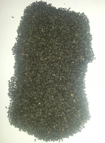 Sabja Seed, Packaging Size : 25/50 Kg