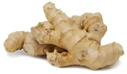 Fresh ginger, State Of Origin : Maharashtra