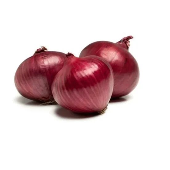 Organic Red Onion, For Ayurvedic Medicinal Cooking, Packaging Type : Net Bag