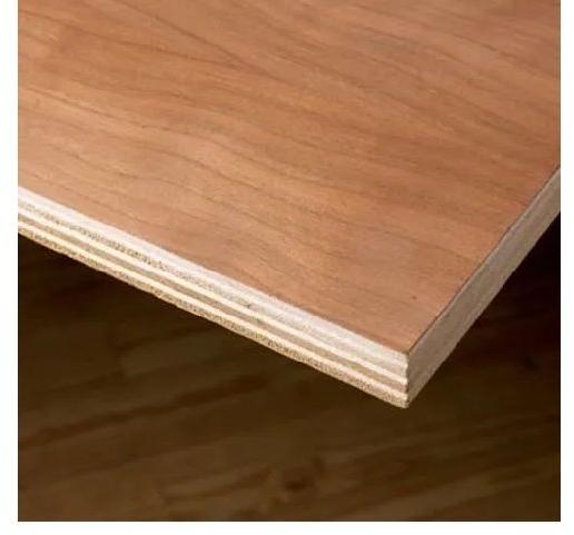 Birch Plywood, Color : Brown