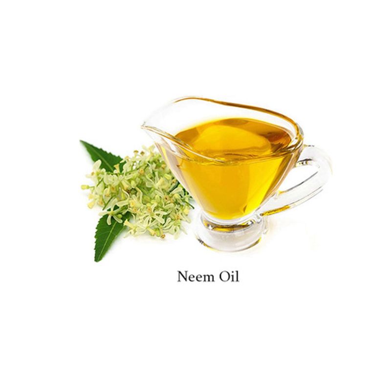 Pure Cold Pressed Neem Oil 2000PPM, Shelf Life : 1Year, Packaging Type ...