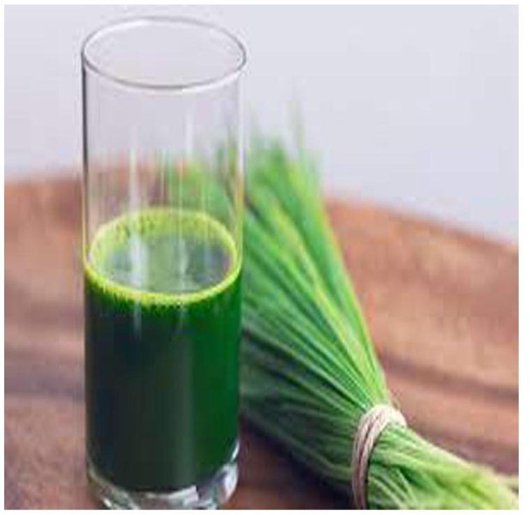 Light Yellow Fresh Liquid Wheat Grass Juice, for Human Consumption, Certification : FASSI Certified