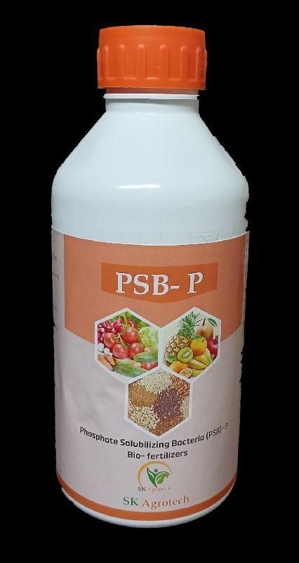 Phosphate Solubilizing Bacteria- PSP