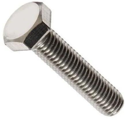 Polished Stainless Steel Hex Bolt