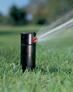 Rotary Sprinkler