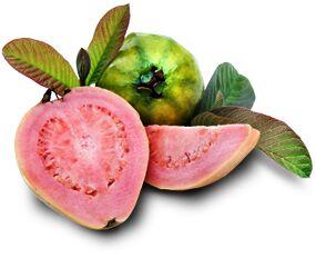 Pink guava