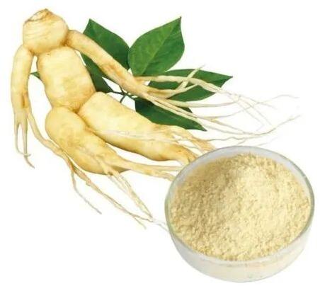 Ginseng Extract, Packaging Size : 5 Kg 