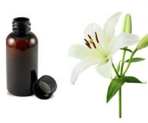 LILY OIL