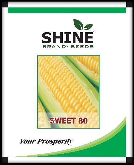 Hybrid Sweet Corn - Sweet-80, Certification : ISO 9001:2008 Certified