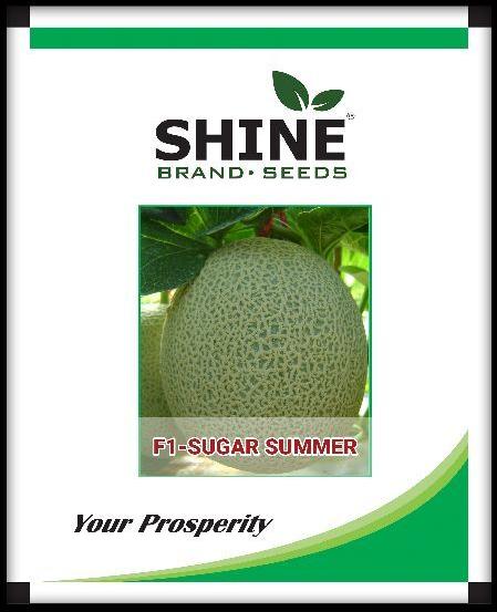Muskmelon F1 - Sugar Summer, for Agriculture