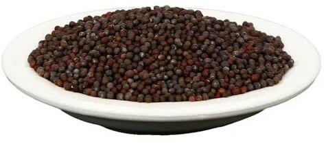 Black Mustard Seeds, for Spices, Cooking, Purity : 99.00%