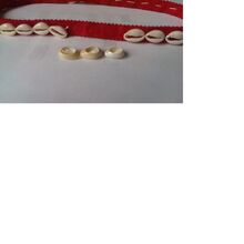 Organic Material cowry shells suitable