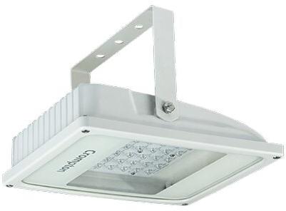 Crompton Canopy LED Light Fixtures, Color : White