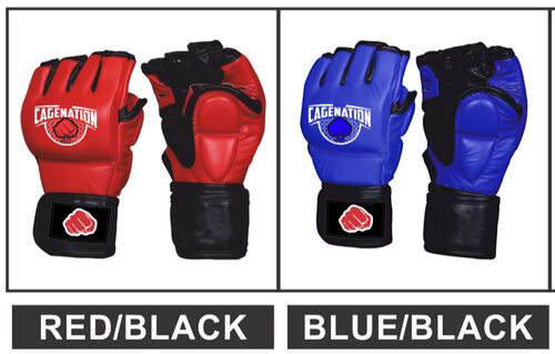 Martial Art Gloves