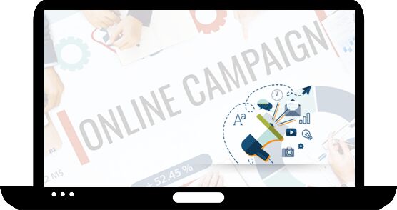 Online Campaign Development