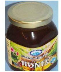 Organic Sweet Honey