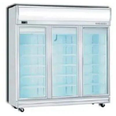 Berjaya Display Freezer