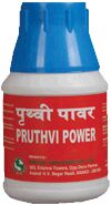 Pruthvi Power