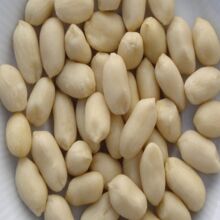 Common Blanched Peanut, Grade : Grade AA