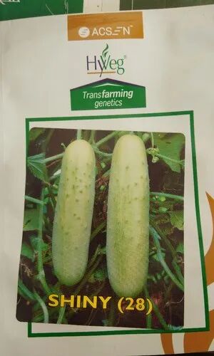 Cucumber Seeds, for Farming