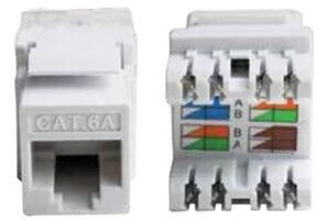 CAT6A UTP Keystone Jack