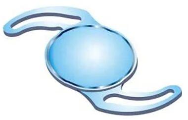 Hydrophilic Foldable Intraocular Lenses