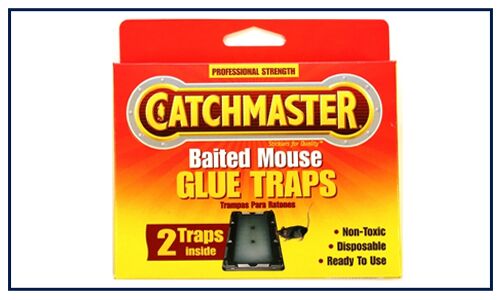 Non-Toxic glue Traps