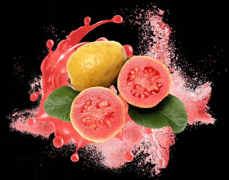 Spray Dried Guava Powder
