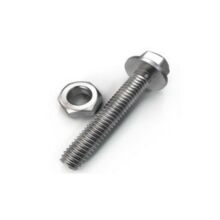Stainless steel Hex Cap Bolts