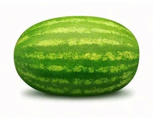 Natural Fresh Green Watermelon, for Human Consumption, Packaging Type : Loose